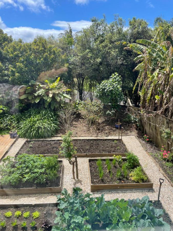 Kaingarua Retreat Ξενοδοχείο Kerikeri Εξωτερικό φωτογραφία
